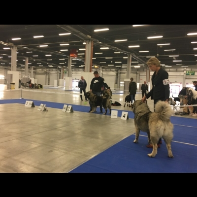 IDS KIELCE'18 - VALKYRIA